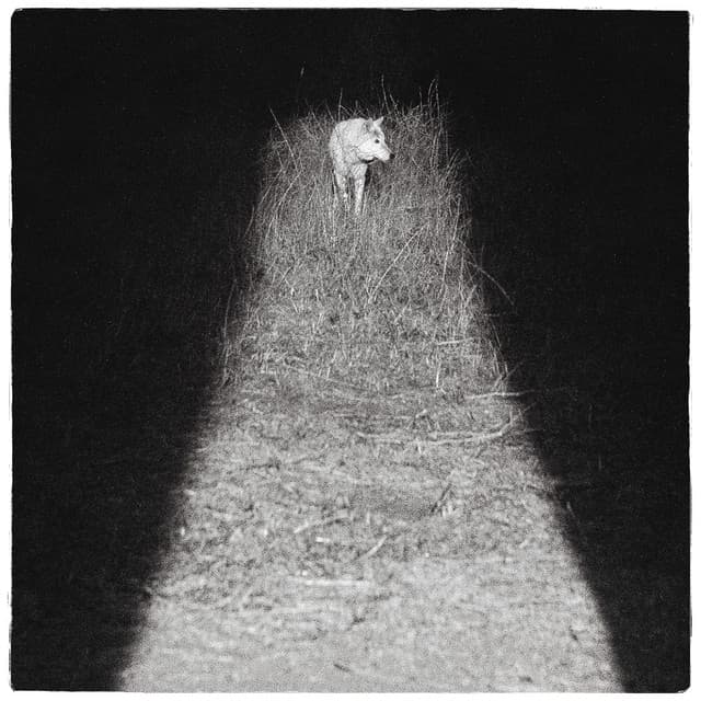 Truth Is cover art