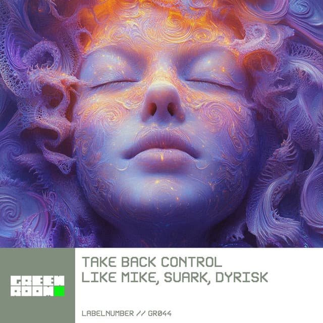 Take Back Control cover art