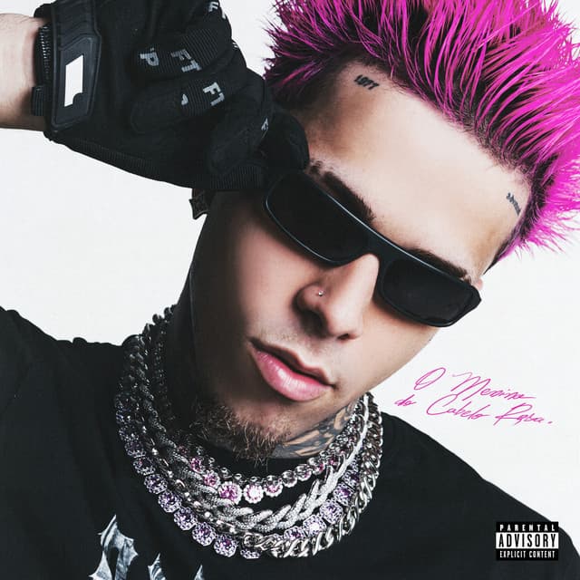 O Menino do Cabelo Rosa cover art