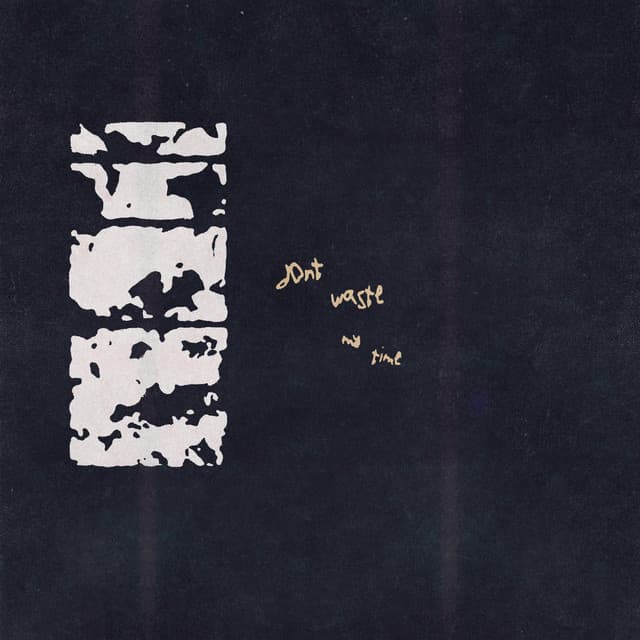don't waste my time cover art