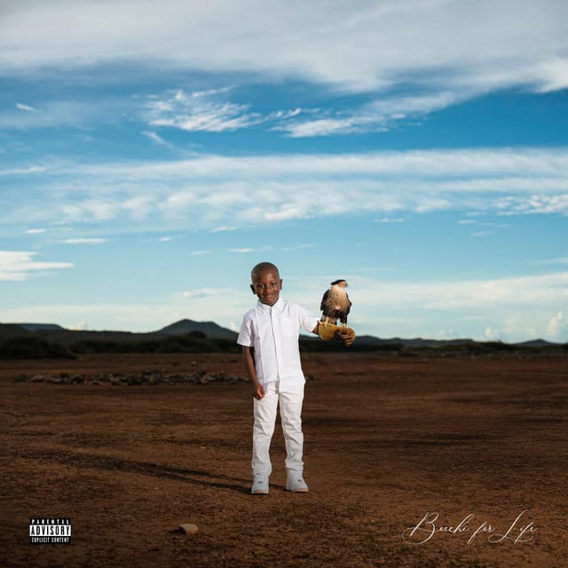 Louboutin cover art