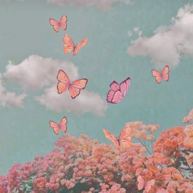 So (Low) cover art