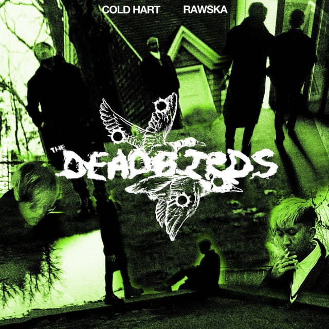 The DEADBIRDS cover art