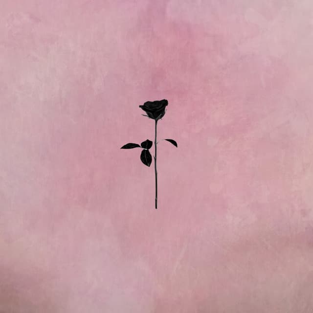 Meli cover art