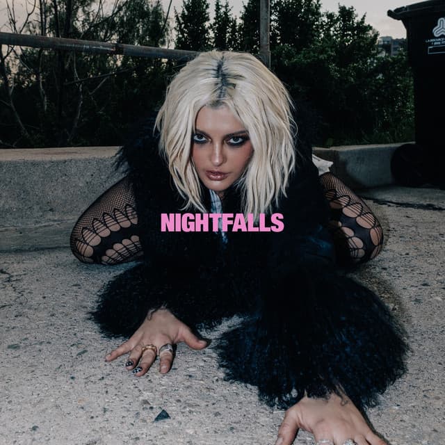 Night Falls cover art