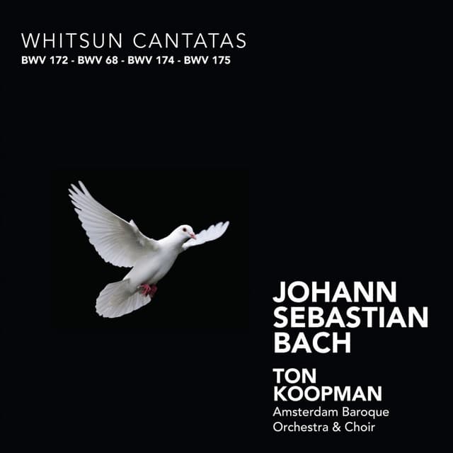 Bach: Whitsun Cantatas cover art