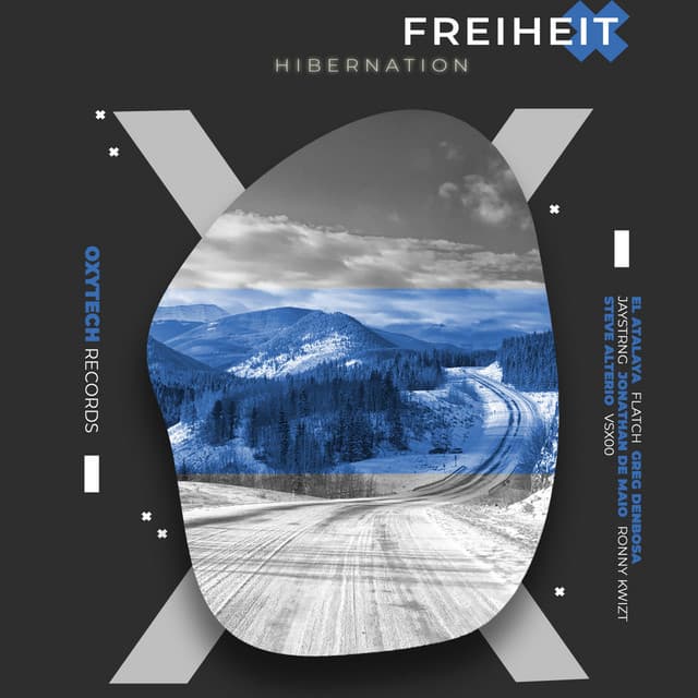 Hibernation - Ronny KwiZt Remix cover art