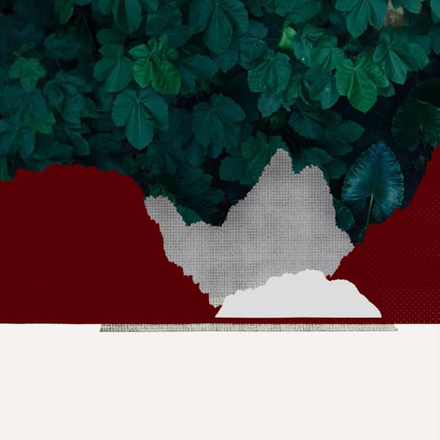 Sleep cover art