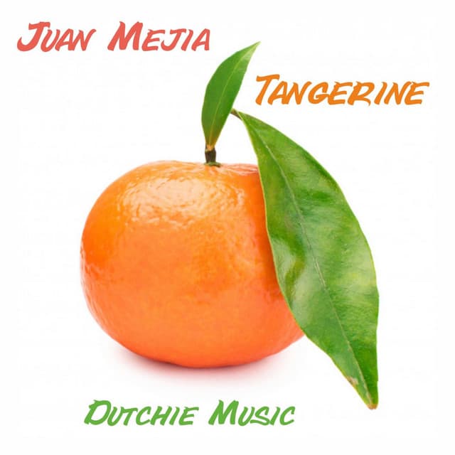 Higuita - The Disclosure Project Remix cover art