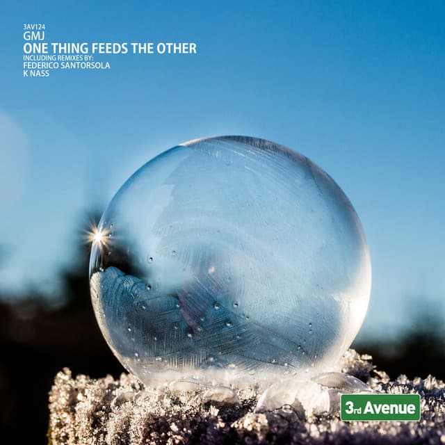 One Thing Feeds the Other - Federico Santorsola cover art