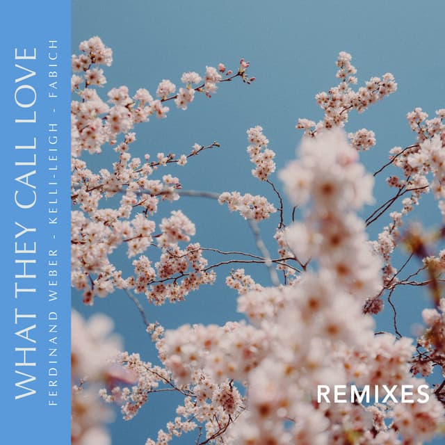 What They Call Love (Remixes) cover art