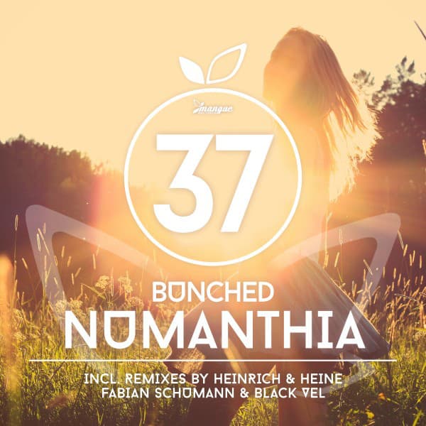 Numanthia - Original cover art