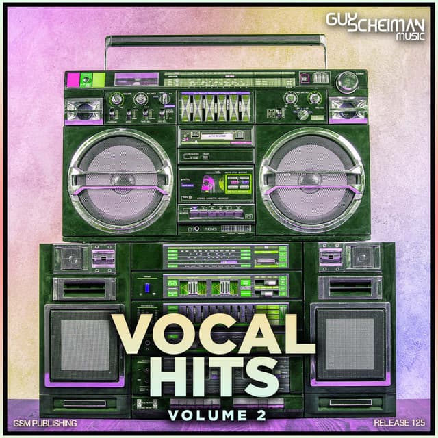 Vocal Hits, Vol. 2 cover art