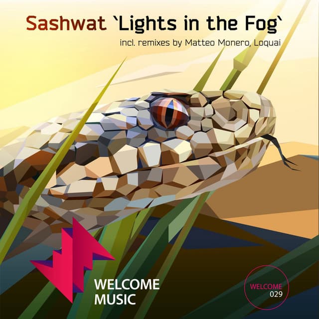 Lights in the Fog - Matteo Monero Remix cover art