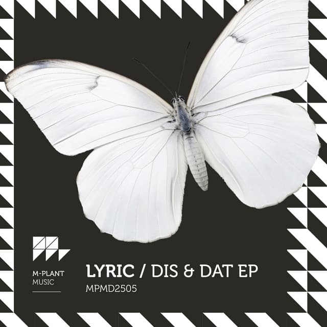 Flip Dat - Extended mix cover art
