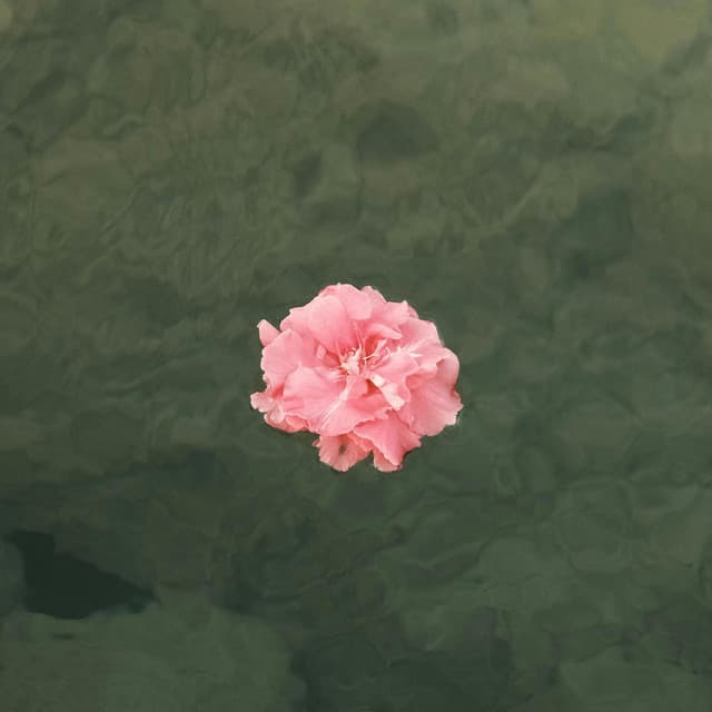 Somewhere On A Farm cover art