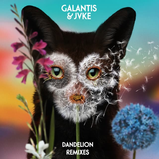 Dandelion - Pandapush Remix cover art