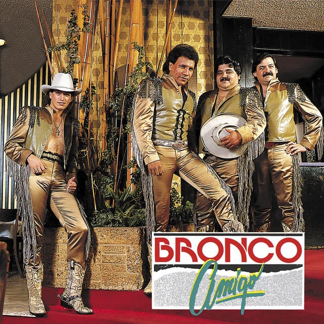 Lágrimas, Sal Y Limón cover art