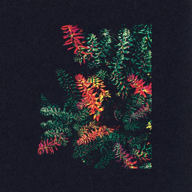 Badd cover art