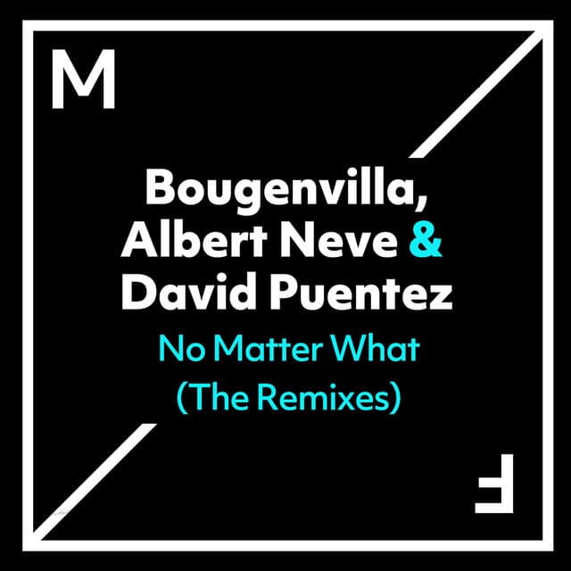 No Matter What - VIP Mix cover art
