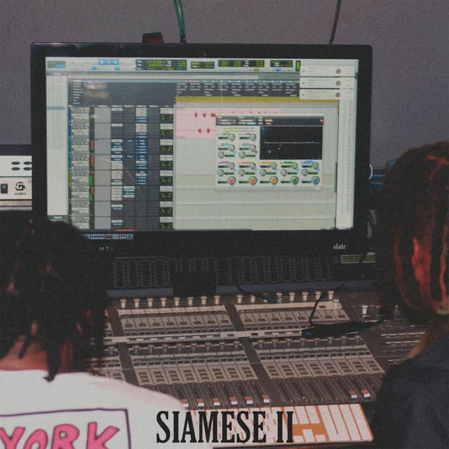 Siamese II: Real Deal cover art