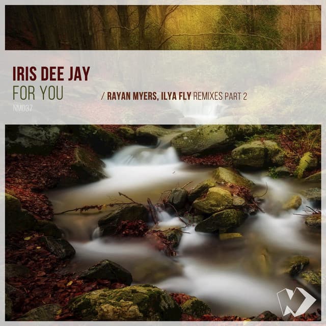 For You - Rayan Myers Remix cover art
