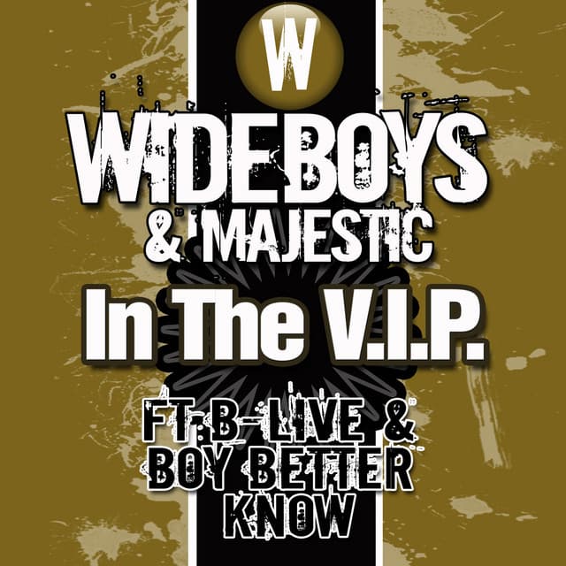 In the V.I.P. - Dub Mix cover art