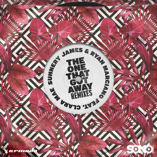 The One That Got Away - Dyna Remix cover art