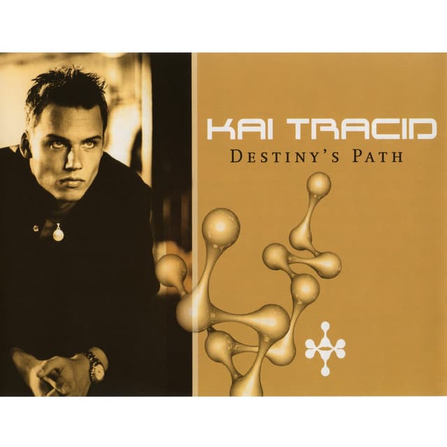 Destiny's Path - Warmduscher Remix cover art