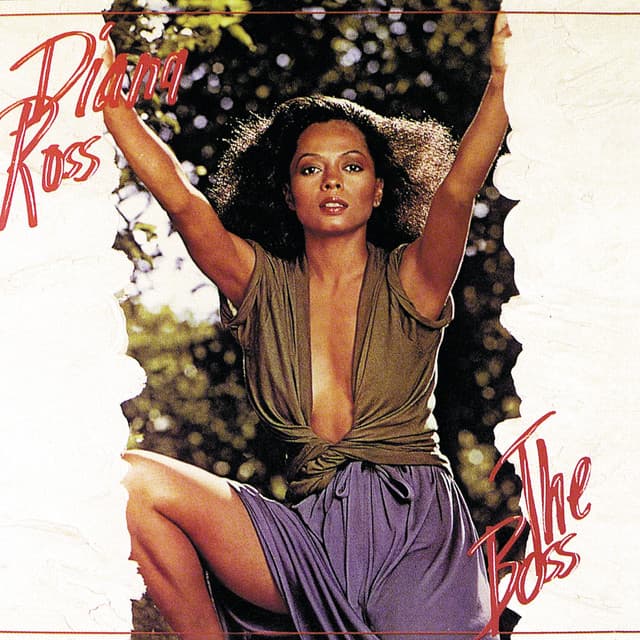 The Boss - 12" Remix cover art