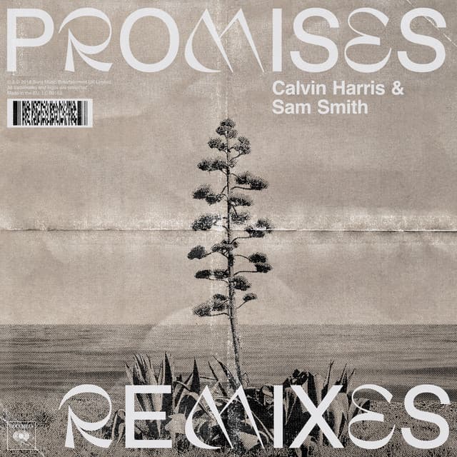 Promises (with Sam Smith) [Remixes] cover art