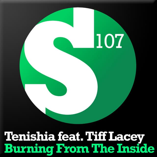 Burning From The Inside - Tenishia's Burnout Mix cover art
