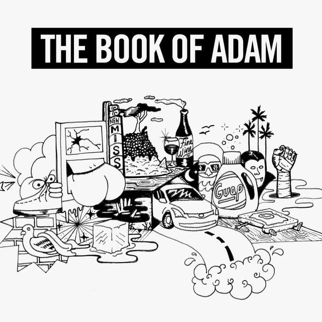 My Name Is Adam cover art