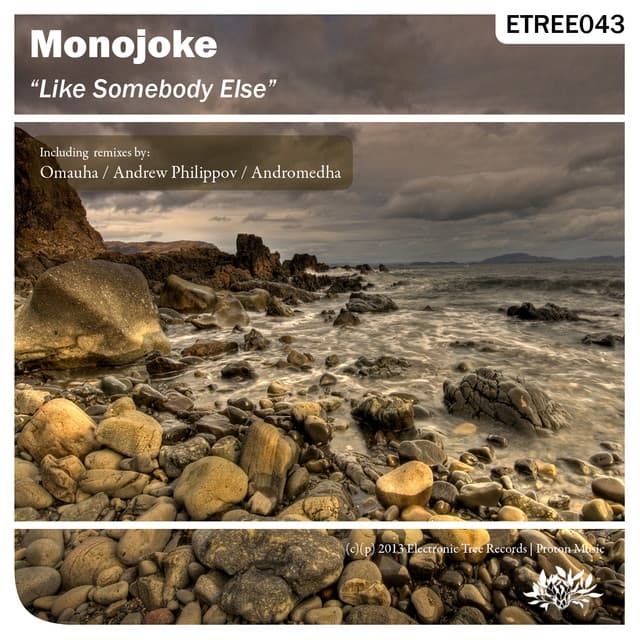 Like Somebody Else - Omauha Remix cover art