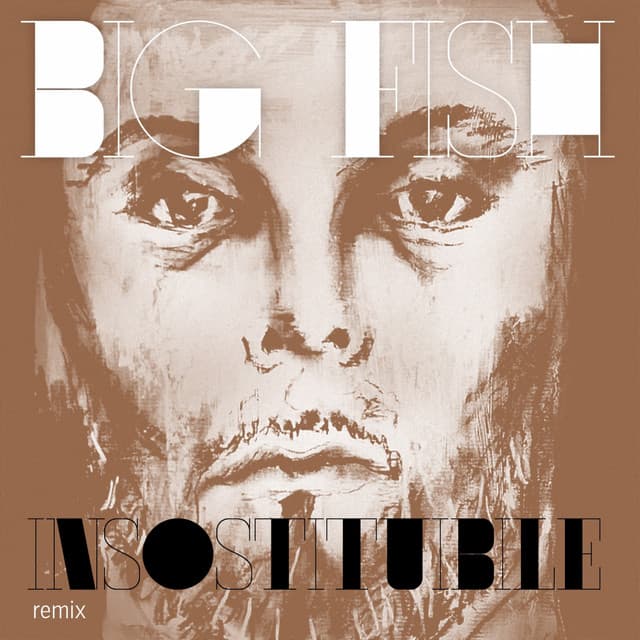 Insostituibile remix - ep cover art