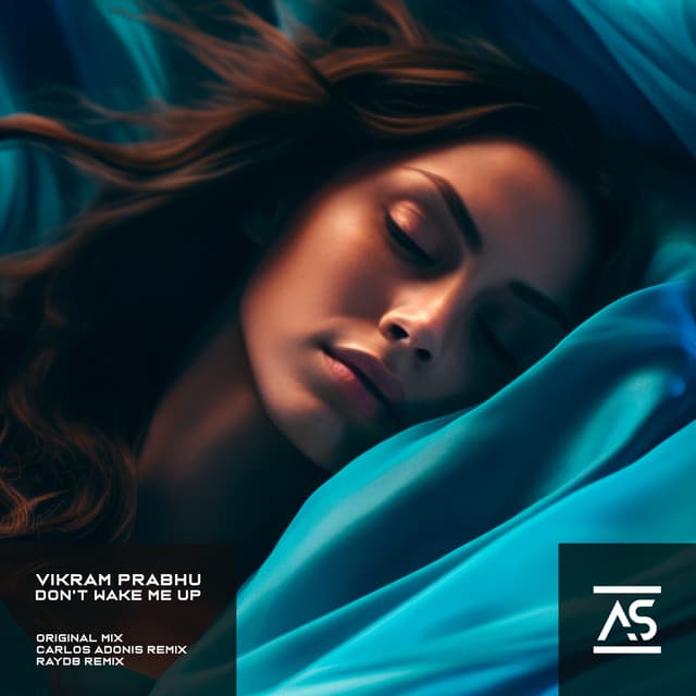 Don't Wake Me Up - Vocal Mix cover art