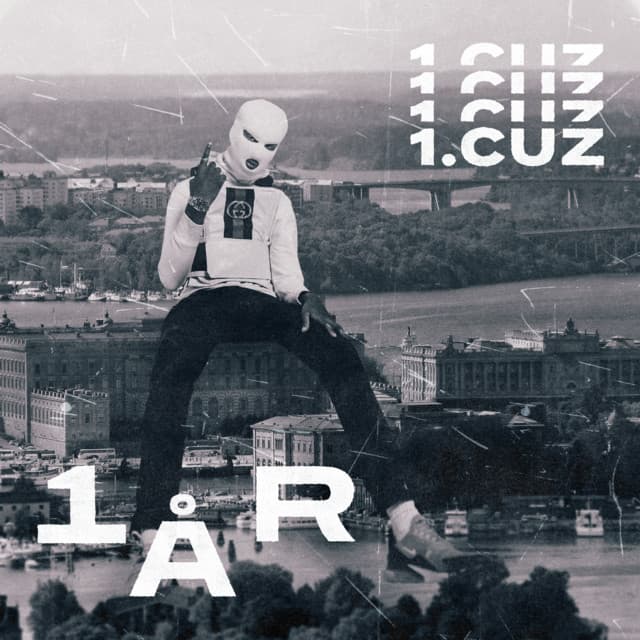 RÄKNA MINA DAGAR cover art