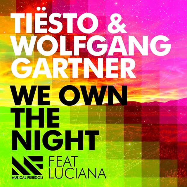 We Own The Night (feat. Luciana) [Radio Edit] cover art