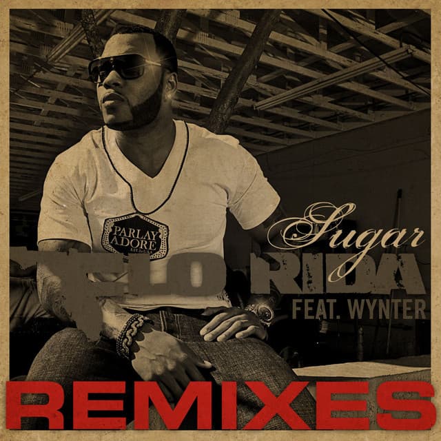 Sugar (feat. Wynter) - Disco Fries Remix cover art