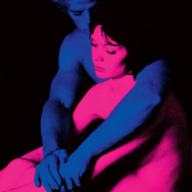 Not Allowed cover art
