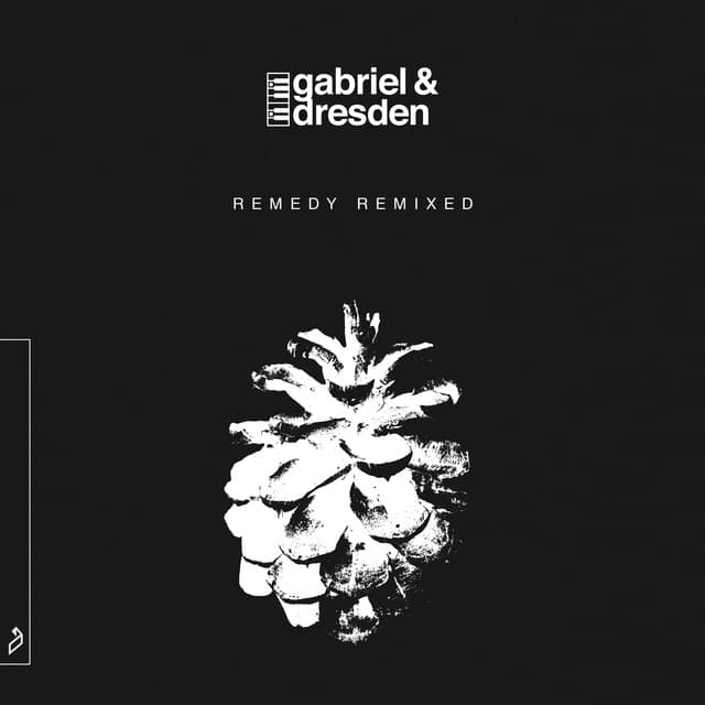 Twelve - Darude Remix cover art