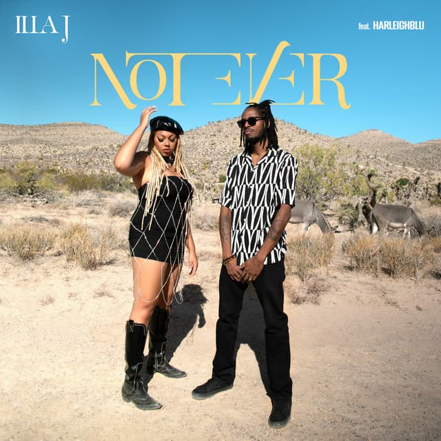 Not Ever cover art