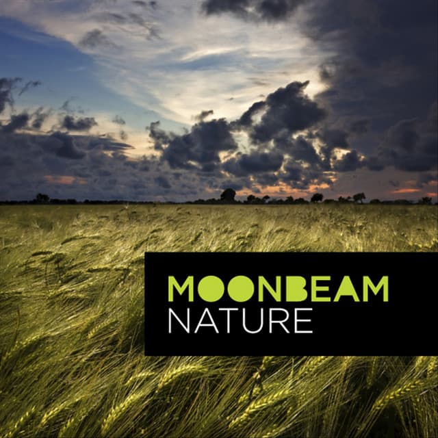 Nature - Joel Armstrong Remix cover art