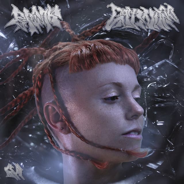 Lengua cover art