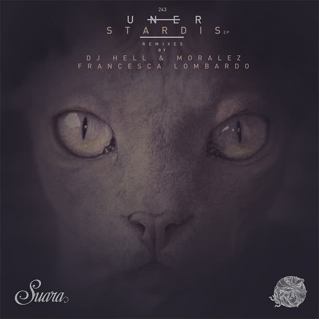 Walking to the Stars - DJ Hell & Moralez Remix cover art