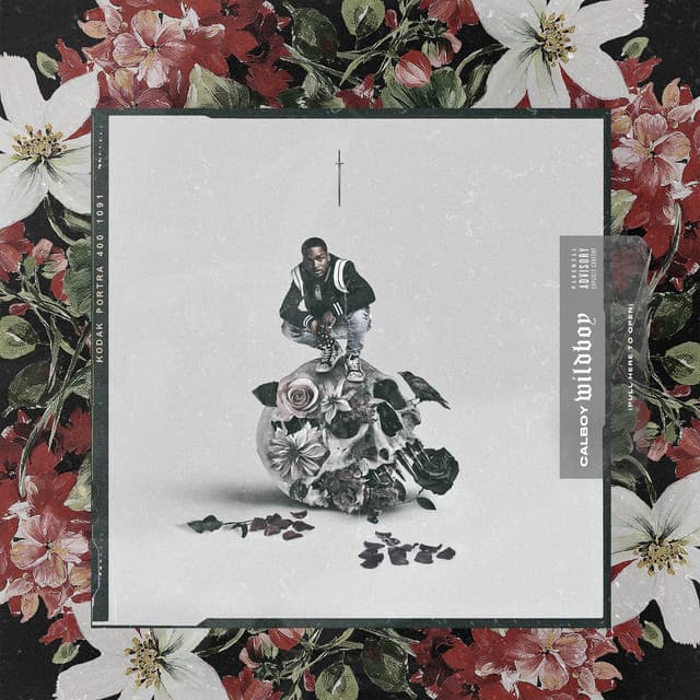 Wildboy cover art
