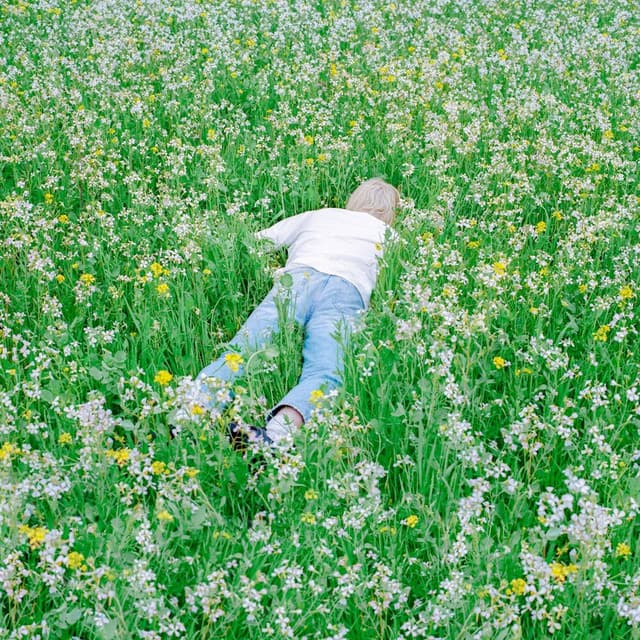 Look at the Sky cover art