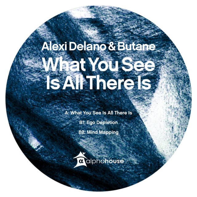 What You See Is All There Is cover art