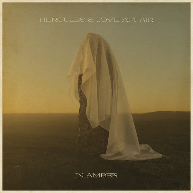 In Amber cover art