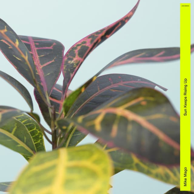 Sun Keeps Rising Up cover art
